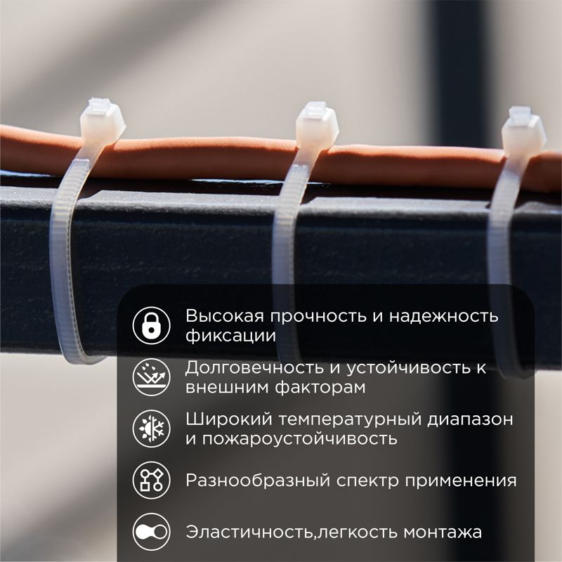 min-photo